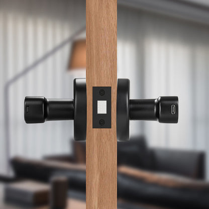 Smart door handle - Wise